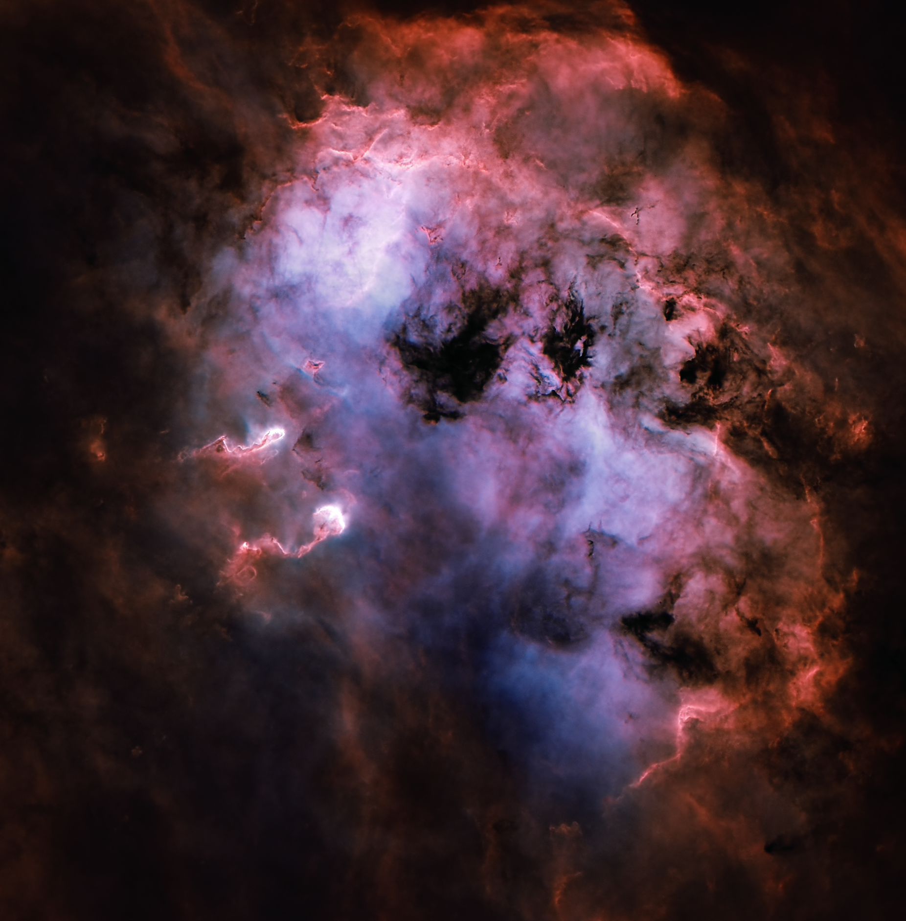 IC 410